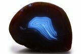 Colorful, Polished Patagonia Agate - Fluorescent! #260754-2